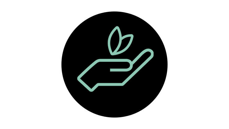 Icon, Greener