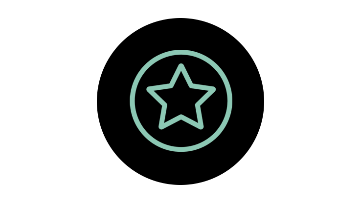 Icon, Satisfaction