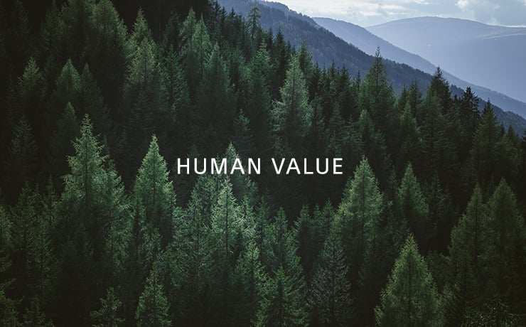 Sustainability and value for humans, and the environment